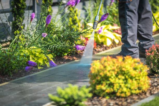 Best Dumpster Area Cleaning  in Victoria, MN