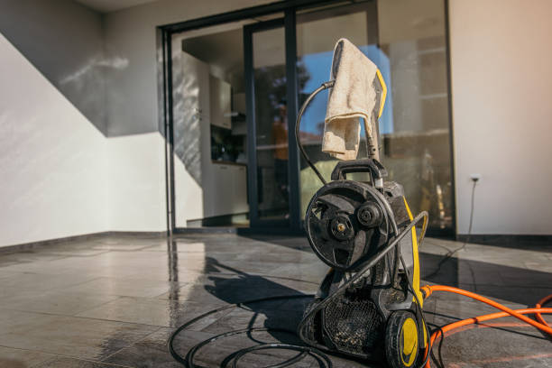 Best Pre-Holiday Cleaning  in Victoria, MN